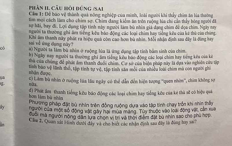 phàn II. câu hỏi đúnG /Sai
Câu 1: Đề bảo vệ thành quả nông nghiệp của mình, loài người khi thấy chim ăn lúa thường
tìm mọi cách làm cho chim sợ. Chim đang kiếm ăn trên ruộng lúa chi cần thấy bóng người đã
sợ hãi, bay đi. Lợi dụng tập tính này người làm bù nhìn giả dạng chim đề dọa chim. Ngày nay
người ta thường ghi âm tiếng kêu báo động các loại chim hay tiếng kêu của kẻ thù của chúng.
Khi âm thanh này phát ra hiệu quả còn cao hơn bù nhìn. Mỗi nhận định sau đây là đúng hay
sai về ứng dụng này?
có a) Người ta làm bù nhìn ở ruộng lúa là ứng dụng tập tính bầm sinh của chim.
b) Ngày nay người ta thường ghi âm tiếng kêu báo động các loại chim hay tiếng kêu của kê
thù của chúng đề phát âm thanh đuổi chim. Cơ sở của biện pháp này là dựa vào nghiên cứu tập
tính bảo vệ lãnh thổ, tập tính tự vệ, tập tính săn mỗi của nhiều loài chim mà con người ghi
nhận được.
ya c) Làm bù nhìn ở ruộng lúa lâu ngày có thể dẫn đến hiện tượng “quen nhờn”, chim không sợ
g. nữa.
d) Phát âm thanh tiếng kêu báo động các loại chim hay tiếng kêu của kẻ thù sẽ có hiệu quá
hơn làm bù nhìn
Phương pháp đặt bù nhìn trên đồng ruộng dựa vào tập tính chạy trốn khi nhìn thấy
ây người của một số động vật gây hại mùa màng. Tùy thuộc vào loài động vật, cần xua
đuổi mà người nông dân lựa chọn vị trí và thời điểm đặt bù nhìn sao cho phù hợp.
Câu 2. Quan sát Hình dưới đây và cho biết các nhận định sau đây là đúng hay sai?
ần