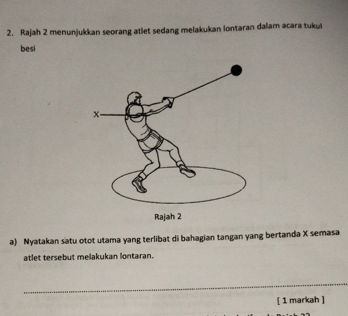 Rajah 2 menunjukkan seorang atlet sedang melakukan lontaran dalam acara tukul 
besi 
a) Nyatakan satu otot utama yang terlibat di bahagian tangan yang bertanda X semasa 
atlet tersebut melakukan lontaran. 
_ 
[ 1 markah ]