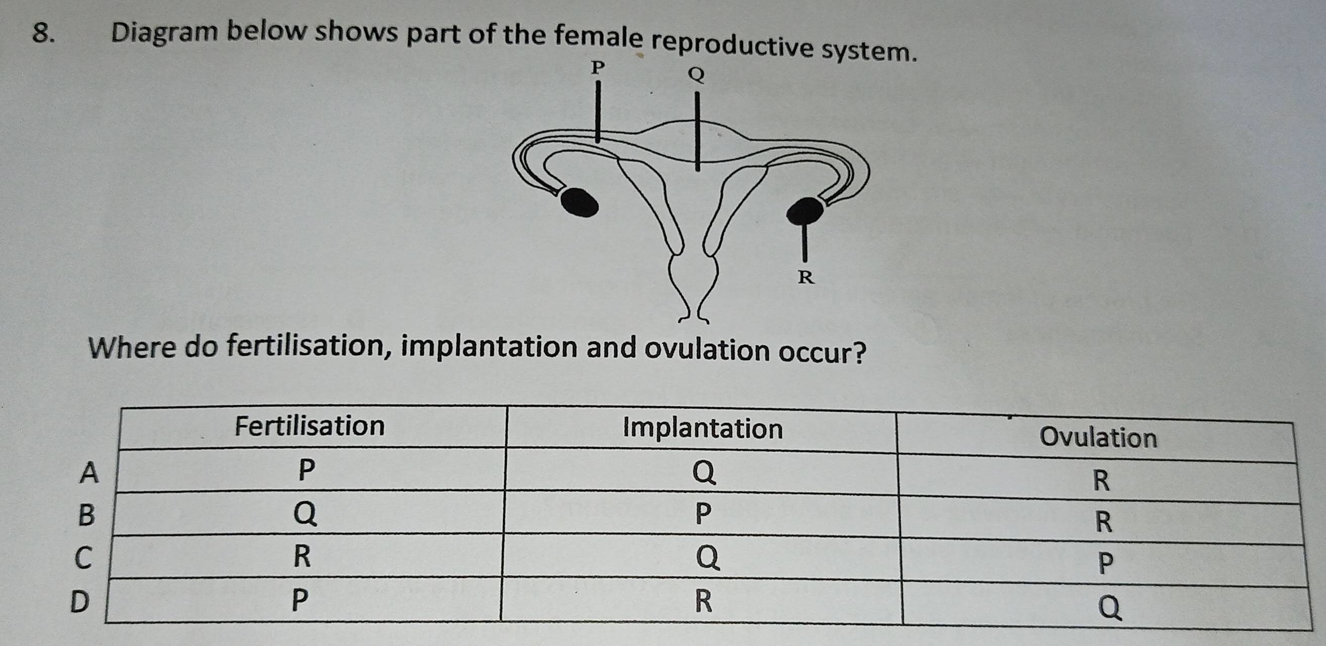 Diagram below shows part of the female reproductive sys 
Where do fertilisation, implantation and ovulation occur?