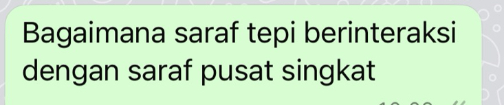 Bagaimana saraf tepi berinteraksi 
dengan saraf pusat singkat