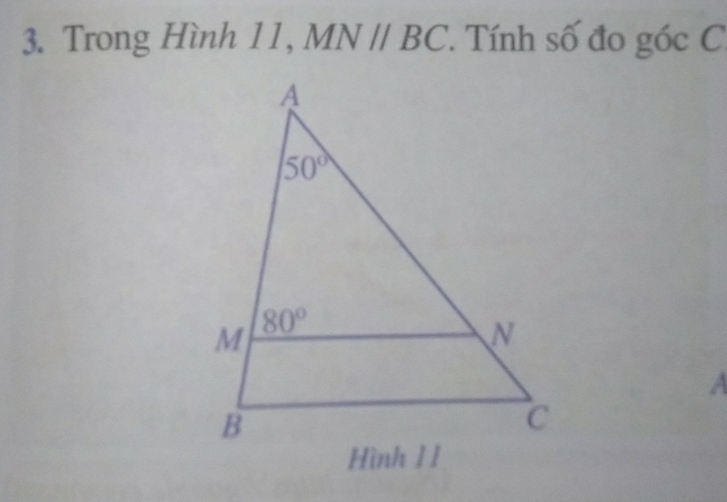 Trong Hình 11, MNparallel BC ' Tính số đo góc C.
a