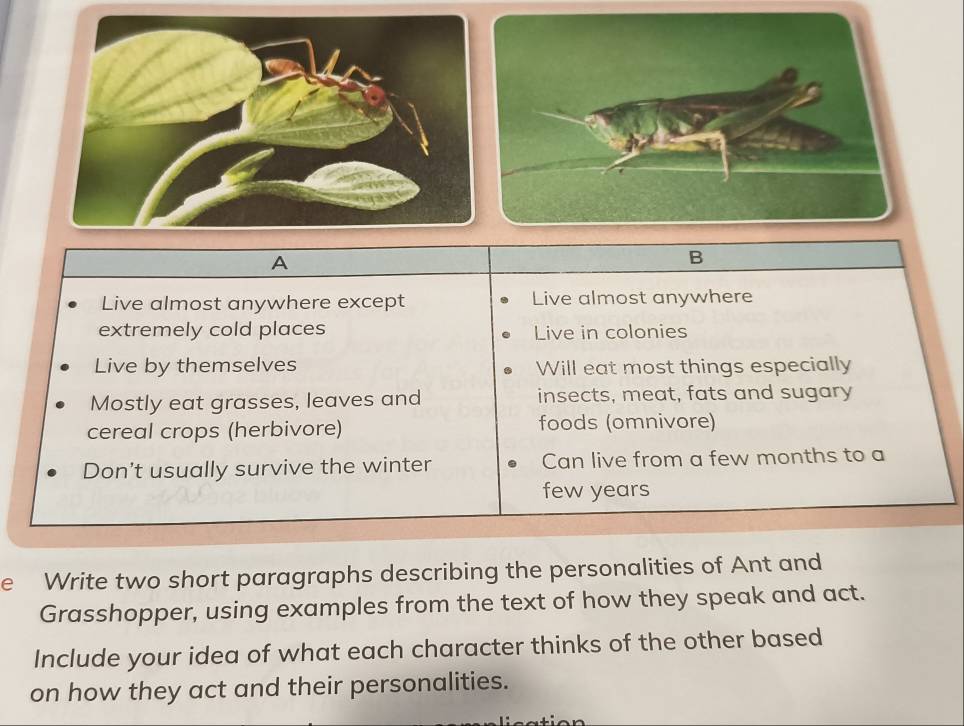A
B
Live almost anywhere except Live almost anywhere
extremely cold places Live in colonies
Live by themselves Will eat most things especially
Mostly eat grasses, leaves and insects, meat, fats and sugary
cereal crops (herbivore) foods (omnivore)
Don't usually survive the winter Can live from a few months to a
few years
e Write two short paragraphs describing the personalities of Ant and
Grasshopper, using examples from the text of how they speak and act.
Include your idea of what each character thinks of the other based
on how they act and their personalities.
