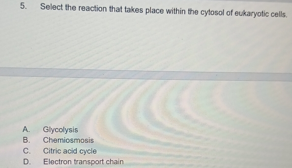 Select the reaction that takes place within the cytosol of eukaryotic cells.
A. Glycolysis
B. Chemiosmosis
C. Citric acid cycle
D. Electron transport chain