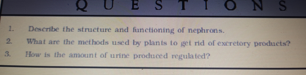 TO N S 
1. Describe the structure and functioning of nephrons. 
2. What are the methods used by plants to get rid of excretory products? 
3. How is the amount of urine produced regulated?