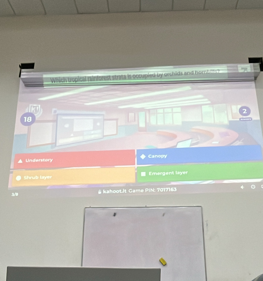 Which tropical rainforest strata is occupied by orchids and hombils? 
a
2
18
Understory Canopy 
Shrub layer Emergent layer 
3/D & kahoot.it Game PIN: 7017163