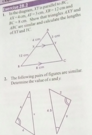 AX=4cm, AY=3cm, XB=12cm and 
. In the diagram, XY is parallel to BC,
BC=8cm Show that triangles AXY and
ABC are similar and calculate the lengths 
2. The following pairs of figures are similar. 
Determine the value of x and y