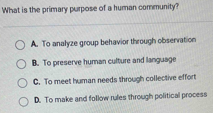 What is the primary purpose of a human community?
A. To analyze group behavior through observation
B. To preserve human culture and language
C. To meet human needs through collective effort
D. To make and follow rules through political process