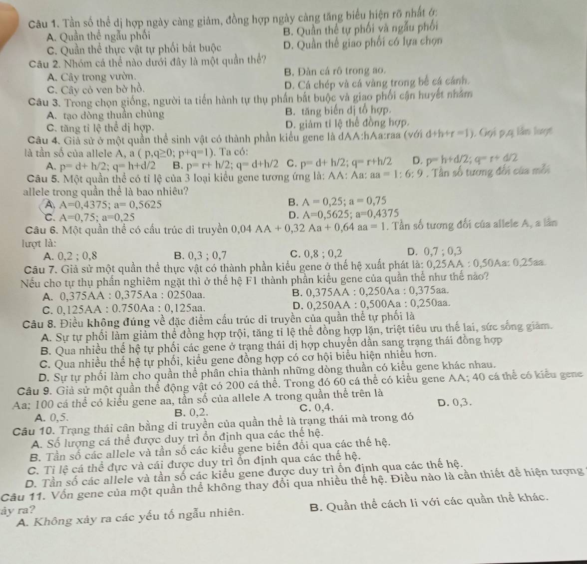 Tần số thể dị hợp ngày càng giảm, đồng hợp ngày càng tăng biểu hiện rõ nhất ớ:
A. Quần thể ngẫu phối B. Quần thể tự phối và ngẫu phối
C. Quần thể thực vật tự phối bắt buộc D. Quần thể giao phối có lựa chọn
Câu 2. Nhóm cá thể nào dưới đây là một quần thể?
A. Cây trong vườn. B. Đàn cá rô trong ao.
C. Cây cỏ ven bờ hồ. D. Cá chép và cá vàng trong bể cá cánh.
Câu 3. Trong chọn giống, người ta tiến hành tự thụ phần bắt buộc và giao phối cận huyết nhăm
A. tạo dòng thuần chủng B. tăng biến dị tổ hợp.
C. tăng tỉ lệ thể dị hợp. D. giảm tỉ lệ thể đồng hợp.
Câu 4. Giả sử ở một quần thể sinh vật có thành phần kiểu gene là dAA:hAa:raa (với d+h+r=1). Gọi p,q lần lượt
là tần số của allele A, a(p,q≥ 0;p+q=1). Ta có:
A. p=d+h/2;q=h+d/2 B. p=r+h/2;q=d+h/2 C. p=d+h/2;q=r+h/2 D. p=h+d/2;q=r+d/2
Câu 5. Một quần thể có tỉ lệ của 3 loại kiểu gene tương ứng là: AA: Aa: aa=1:6:9. Tân số tương đối của mỗi
allele trong quần thể là bao nhiêu?
A A=0,4375;a=0,5625
B. A=0,25;a=0,75
C. A=0,75;a=0,25
D. A=0,5625;a=0,4375
Câu 6. Một quần thể có cấu trúc di truyền 0,04AA+0,32Aa+0,64aa=1. Tần số tương đối của allele A, a lần
lượt là:
A. 0,2 ; 0,8 B. 0,3;0,7 3 ; 0,2 D. 0,7; 0,3
C. 0.8
Câu 7. Giả sử một quần thể thực vật có thành phần kiểu gene ở thế hệ xuất phát là: 0,25A. A : 0.50Aa: 0.2 Saa
Nếu cho tự thụ phần nghiêm ngặt thì ở thế hệ F1 thành phần kiểu gene của quần thể như thế nào?
A. 0,375AA : 0,375Aa : 0250aa. B. 0,375AA : 0,250Aa : 0,375aa.
C. 0,125AA : 0.750Aa : 0,125aa. D. 0,250AA : 0,500Aa : 0,250aa.
Câu 8. Điều không đúng về đặc điểm cấu trúc di truyền của quần thế tự phối là
A. Sự tự phối làm giảm thể đồng hợp trội, tăng tỉ lệ thể đồng hợp lặn, triệt tiêu ưu thế lai, sức sống giảm.
B. Qua nhiều thế hệ tự phối các gene ở trạng thái dị hợp chuyển dần sang trạng thái đồng hợp
C. Qua nhiều thế hệ tự phối, kiểu gene đồng hợp có cơ hội biểu hiện nhiều hơn.
D. Sự tự phối làm cho quần thể phân chia thành những dòng thuần có kiểu gene khác nhau.
Câu 9. Giả sử một quần thể động vật có 200 cá thể. Trong đó 60 cá thể có kiểu gene AA; 40 cá thể có kiểu gene
Aa: 100 cá thể có kiểu gene aa, tần số của allele A trong quần thể trên là
A. 0,5. B. 0,2. C. 0,4.
D. 0,3.
Câu 10. Trạng thái cân bằng di truyền của quần thể là trạng thái mà trong đó
A. Số lượng cá thể được duy trì ổn định qua các thế hệ.
B. Tần số các allele và tần số các kiểu gene biến đổi qua các thế hệ.
C. Tỉ lệ cá thể đực và cái được duy trì ổn định qua các thế hệ.
D. Tần số các allele và tần số các kiểu gene được duy trì ổn định qua các thế hệ.
Câu 11. Vốn gene của một quần thể không thay đổi qua nhiều thế hệ. Điều nào là cần thiết để hiện tượng
A. Không xảy ra các yếu tố ngẫu nhiên. B. Quần thể cách li với các quần thể khác.
y ra?
