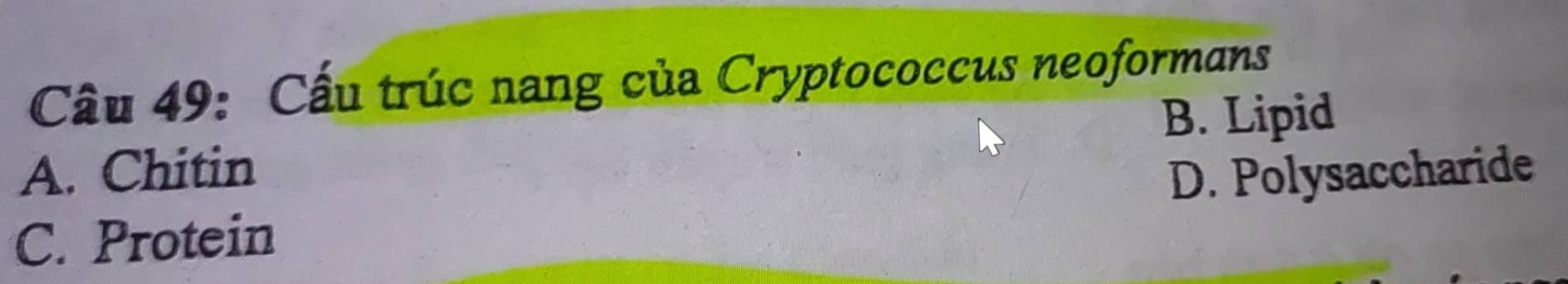 Cấu trúc nang của Cryptococcus neoformans
B. Lipid
A. Chitin
C. Protein D. Polysaccharide