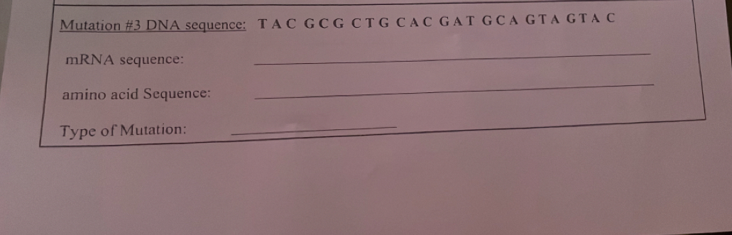 Mutation #3 DNA sequence: T A C G C G C T G C A C G A T G C A G T A G T A C 
mRNA sequence: 
_ 
amino acid Sequence: 
_ 
Type of Mutation: 
_