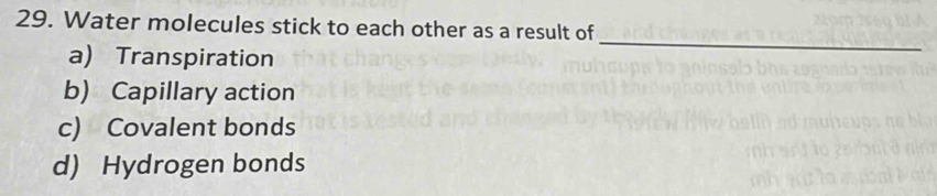 Water molecules stick to each other as a result of 
a) Transpiration 
_ 
b) Capillary action 
c) Covalent bonds 
d) Hydrogen bonds