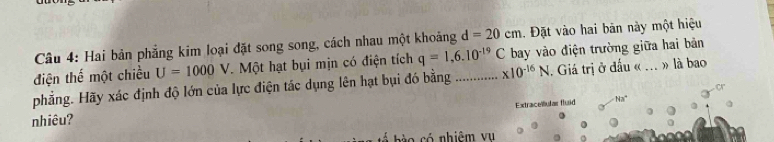 Hai bản phẳng kim loại đặt song song, cách nhau một khoảng d=20cm. Đặt vào hai bãn này một hiệu 
điện thể một chiều U=1000V. Một hạt bụi mịn có điện tích q=1,6.10^(-19)C bay vào điện trường giữa hai bản 
phẳng. Hãy xác định độ lớn của lực điện tác dụng lên hạt bụi đó bằng_ * 10^(-16)N. Giá trị ở đấu « ... » là bao 
nhiêu? Extracelular fluid Na^+
ó nhiêm vụ