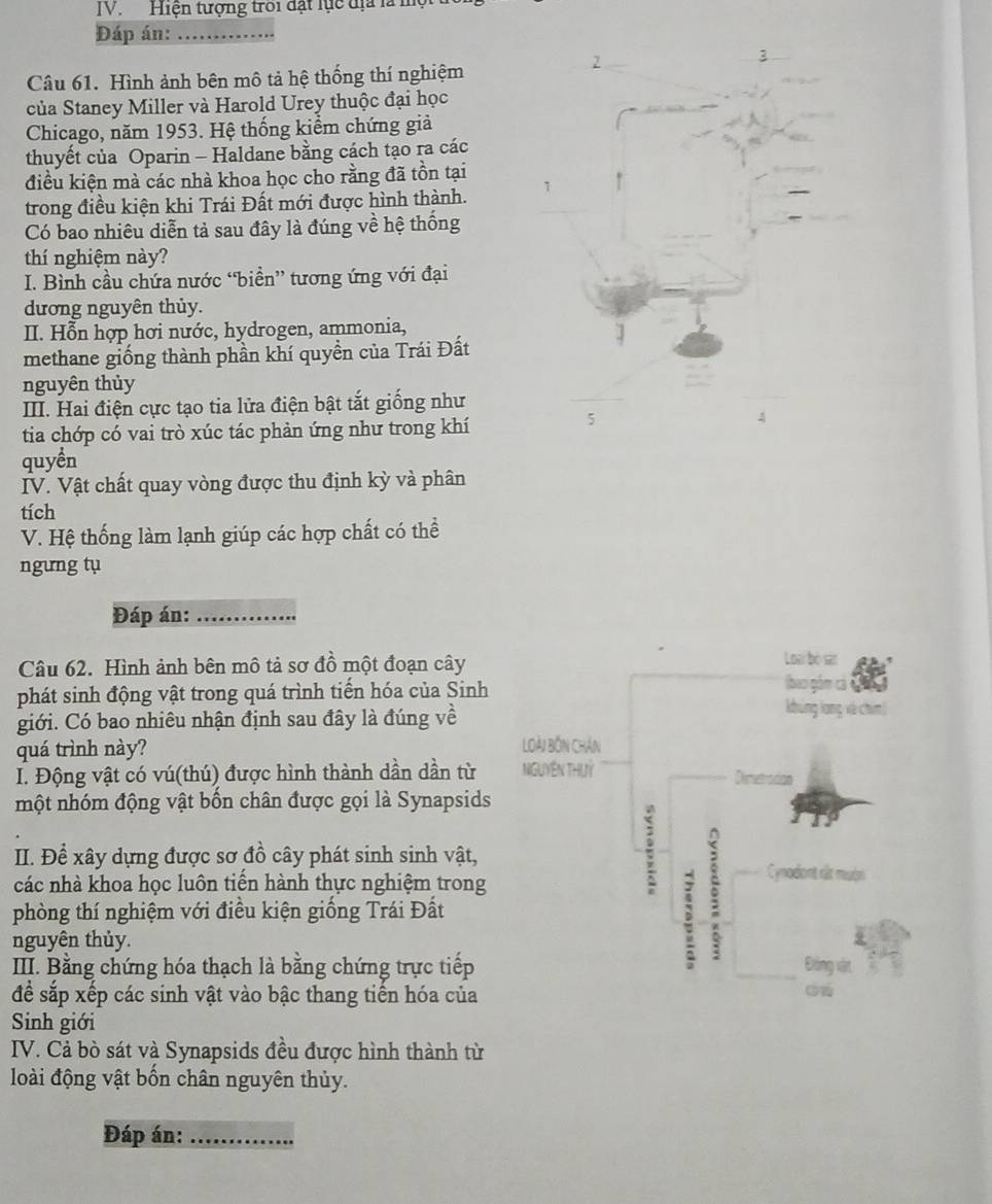 Hiện tượng troi đặt lực đị là m
Đáp án:_
2
3
Câu 61. Hình ảnh bên mô tả hệ thống thí nghiệm
của Staney Miller và Harold Urey thuộc đại học
Chicago, năm 1953. Hệ thống kiểm chứng giả
thuyết của Oparin - Haldane bằng cách tạo ra các
điều kiện mà các nhà khoa học cho rằng đã tồn tại
trong điều kiện khi Trái Đất mới được hình thành. 1
Có bao nhiêu diễn tả sau đây là đúng về hệ thống
thí nghiệm này?
I. Bình cầu chứa nước “biển” tương ứng với đại
dương nguyên thủy.
II. Hỗn hợp hơi nước, hydrogen, ammonia,
methane giống thành phần khí quyền của Trái Đất
nguyên thủy
III. Hai điện cực tạo tia lửa điện bật tắt giống như
tia chớp có vai trò xúc tác phản ứng như trong khí
5
4
quyền
IV. Vật chất quay vòng được thu định kỳ và phân
tích
V. Hệ thống làm lạnh giúp các hợp chất có thể
ngưng tụ
Đáp án:_
Lon bó sar
Câu 62. Hình ảnh bên mô tả sơ đồ một đoạn cây (bao gồm cá
phát sinh động vật trong quá trình tiến hóa của Sinh khủng long và chim
giới. Có bao nhiêu nhận định sau đây là đúng về
quá trình này? Loài Bồn Chân
I. Động vật có vú(thú) được hình thành dần dần từ NGUYêN THUỷ Dimetradion
một nhóm động vật bốn chân được gọi là Synapsids
II. Để xây dựng được sơ đồ cây phát sinh sinh vật,
các nhà khoa học luôn tiến hành thực nghiệm trong
:
Cynodont rất mưộn
phòng thí nghiệm với điều kiện giống Trái Đất
nguyên thủy.
III. Bằng chứng hóa thạch là bằng chứng trực tiếp Đồng vật
để sắp xếp các sinh vật vào bậc thang tiến hóa của
Sinh giới
IV. Cả bò sát và Synapsids đều được hình thành từ
loài động vật bốn chân nguyên thủy.
Đáp án:_