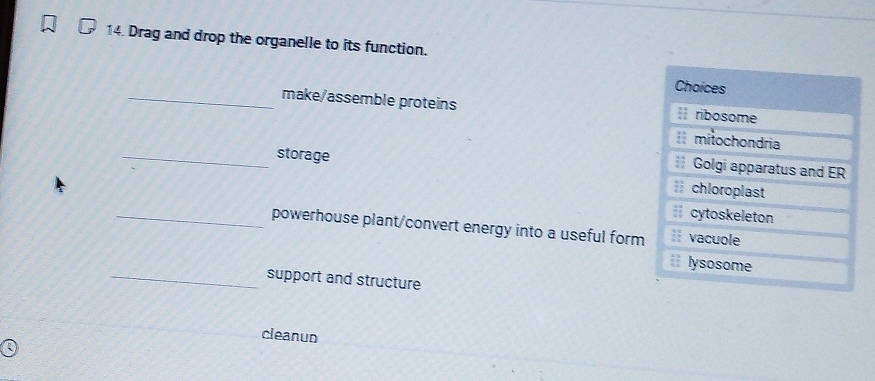 Drag and drop the organelle to its function.
Choices
_make/assemble proteins  ribosome; mitochondria
= Golgi apparatus and ER
_storage chloroplast
cytoskeleton
_powerhouse plant/convert energy into a useful form # vacuole
ii lysosome
_support and structure
cleanud