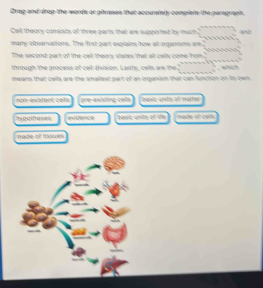 Drag and drop the words or phrases that accurately complete the paragraph.
Cell theory consists of three parts that are supported by much and
many observations. The first part explains how all organisms are
The second part of the cell theory states that all cells come from 
through the process of cell division. Lastly, cells are the which
means that cells are the smallest part of an organism that can function on its own
non-existent cells pre-existing cells basic units of matter 
hypotheses evidence basic units of life made of cells
made of tissues