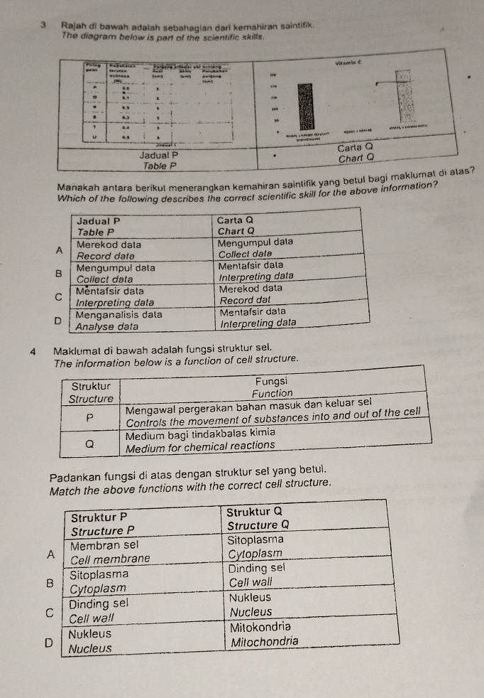 Rajah di bawah adalah sebahagian dari kemahiran saintifik. 
The diagram below is part of the scientific skills. 
Manakah antara berikut menerangkan kemahiran saintifik yang betul 
Which of the following describes the correct scientific skill for the above information? 
4 Maklumat di bawah adalah fungsi struktur sel. 
The information below is a function of cell structure. 
Padankan fungsi di atas dengan struktur sel yang betul. 
Match the above functions with the correct cell structure.