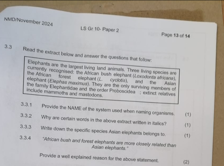 NMD/November 2024 
LS Gr 10- Paper 2 Page 13 of 14 
3.3 Read the extract below and answer the questions that follow: 
Elephants are the largest living land animals. Three living species are 
currently recognised: the African bush elephant (Loxodonta africana), 
the African forest elephant (L. cyclotis), and the Asian 
elephant (Elephas maximus). They are the only surviving members of 
the family Elephantidae and the order Proboscidea ; extinct relatives 
include mammoths and mastodons. 
3.3.1 Provide the NAME of the system used when naming organisms. (1) 
3.3.2 Why are certain words in the above extract written in italics? (1) 
3.3.3 Write down the specific species Asian elephants belongs to. (1) 
3.3.4 “African bush and forest elephants are more closely related than 
Asian elephants." 
Provide a well explained reason for the above statement. (2)