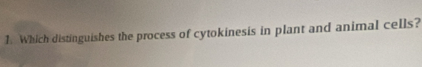 Which distinguishes the process of cytokinesis in plant and animal cells?