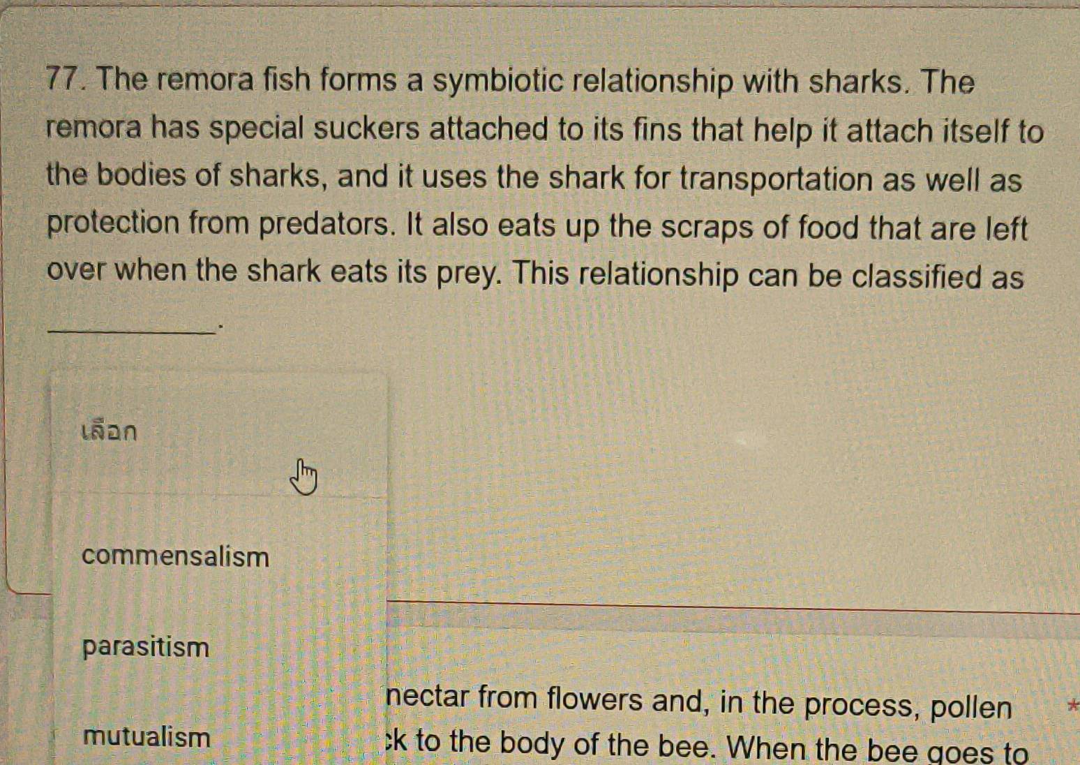 The remora fish forms a symbiotic relationship with sharks. The
remora has special suckers attached to its fins that help it attach itself to
the bodies of sharks, and it uses the shark for transportation as well as
protection from predators. It also eats up the scraps of food that are left
over when the shark eats its prey. This relationship can be classified as
_·
lñan
commensalism
parasitism
nectar from flowers and, in the process, pollen
mutualism ck to the body of the bee. When the bee goes to