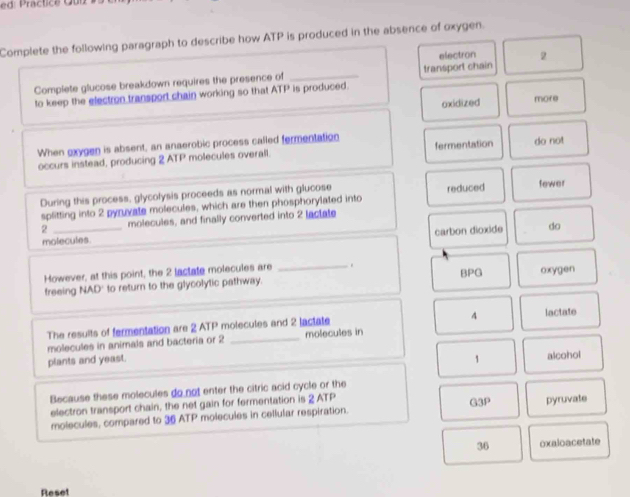 ed: Práctice Qui
Complete the following paragraph to describe how ATP is produced in the absence of oxygen.
electron 2
Complete glucose breakdown requires the presence of _transport chain
_
to keep the electron transport chain working so that ATP is produced.
oxidized more
When exygen is absent, an anaerobic process called fermentation
occurs instead, producing 2 AT | molecules overall fermentation do not
_
During this process, glycolysis proceeds as normal with glucose
splitting into 2 pyruvate molecules, which are then phosphorylated into reduced fewer
_
2 _molecules, and finally converted into 2 lactate
carbon dioxide do
molecules
BPG oxygen
However, at this point, the 2 lactate molecules are _.
freeing NAD' to return to the glycolytic pathway.
_
4
The results of fermentation are 2 ATP molecules and 2 lactate lactate
molecules in animals and bacteria or 2 _molecules in
plants and yeast.
_
1 alcohol
Because these molecules do not enter the citric acid cycle or the
electron transport chain, the net gain for fermentation is 2 ATP
molecules, compared to 36 ATP molecules in cellular respiration. G3P pyruvate
36 oxaloacetate
Reset