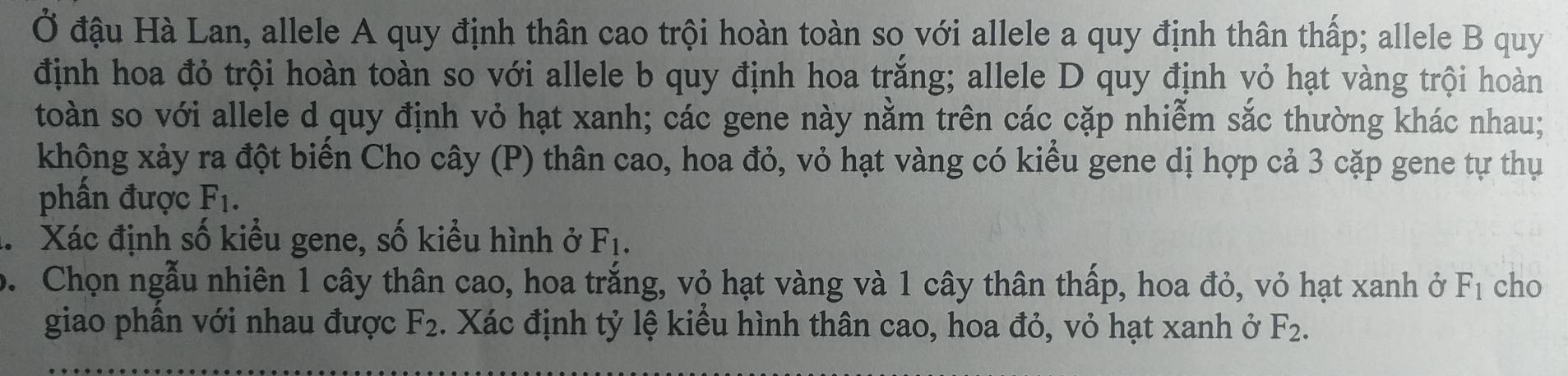 Ở đậu Hà Lan, allele A quy định thân cao trội hoàn toàn so với allele a quy định thân thấp; allele B quy 
định hoa đỏ trội hoàn toàn so với allele b quy định hoa trăng; allele D quy định vỏ hạt vàng trội hoàn 
toàn so với allele d quy định vỏ hạt xanh; các gene này nằm trên các cặp nhiễm sắc thường khác nhau; 
không xảy ra đột biển Cho cây (P) thân cao, hoa đỏ, vỏ hạt vàng có kiểu gene dị hợp cả 3 cặp gene tự thụ 
phấn được F_1. 
Xác định số kiều gene, số kiểu hình ở F_1. 
o. Chọn ngẫu nhiên 1 cây thân cao, hoa trăng, vỏ hạt vàng và 1 cây thân thấp, hoa đỏ, vỏ hạt xanh ở F_1 cho 
giao phần với nhau được F_2. Xác định tỷ lệ kiểu hình thân cao, hoa đỏ, vỏ hạt xanh ở F_2.