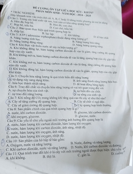 Đề Cương ôn tập giữa học kỷ 1 - khtn7
tRÁC NGHiệM:
PHân MÔn sinh - năm Học: 2024 - 2025
Hãy khoanh tròn vào một chữ cải A, B, C hoặc D đứng trước phương án trà lời đùng
* Câu 1: Trong các loài sinh vật sau, loài nào có khả năng quang bợy?
A. Hòn đá, búp bê
C. Búp bê, trầu bà. D. Con chó, trầu bá. B. Hòn đá, con chó
Câu 2: Bảo quan thực hiện quá trình quang hợp là:
A. diệp lục. B. luc lap C. khi không, D. tế bào chất.
Câu 3: ATP ( adenosine triphosphate) thuộc đạng năng lượng gi?
A. Năng lượng sinh học. B. Năng lượng hòa năng
D. Năng lượng động năng D. Năng lượng quang năng,
Câu 4: Khi thực vật thiếu nước sẽ xây ra hiện tượng gi?
A. Khi không đóng lại, hàm lượng carbon dioxide đi vào là giám, tăng cường độ quang
hợp của cây xanh.
B. Khí khổng mở ra, hàm lượng carbon dioxide đi vào lá tăng, quang hợp của cây gặp khó
khān,
C. Khí khổng mở ra, hàm lượng carbon dioxide đi vào lá tăng, tăng cường độ quang hợp
của cây xanh.
D Khi khổng đồng lại, hàm lượng carbon dioxide đi vào là giám, quang hợp của cây gặp
khó khǎn
Câu 5: Chuyển hóa năng lượng là quả trình biển đổi năng lượng
A từ dạng này sang dạng khác. B. ảnh sáng thành năng lượng hóa học.
C. hóa học thành nhiệt năng. D. để hoạt động hàng ngày
Câu 6: Trao đổi chất và chuyển hóa năng lượng có vai trò quan trọng đổi với
A. sự chuyển hóa của sinh vật. Bộ sự biên đôi các chất
C. sự trao đổi năng lượng, D) sự sống của sinh vật.
Câu 7: Khi nồng độ CO_2 trong không khi tăng quá cao thì cây sẽ như thể nào?
A. Cây sẽ tăng cường độ quang hợp, B. Cây sẽ chết vì ngộ độc.
C. Cây sẽ giảm cường độ quang hợp. D Cây quang hợp bình thường
Câu 8: Sản phẩm chính của quả trình quang hợp là gi?
A. nước, khí carbon dioxide. B. glucose, khi carbon dioxide.
C. khi oxygen, glucose. D. glucose, nước,
Câu 9: Các yếu tổ chủ yếu ngoài môi trường ảnh hướng đến quang hợp là
A. nước, hàm lượng khí carbon dioxide, hàm lượng khi oxygen.
B nước, hàm lượng khí carbon dioxide, ảnh sáng, nhiệt độ.
C. nước, hàm lượng khí oxygen, ảnh sáng.
D. nước, hàm lượng khí oxygen, nhiệt độ.
Câu 10: Sân phẩm của hộ hấp tế bảo gồm:
A. Oxygen, nước và năng lượng.  B. Nước, đường và năng lượng.
C. Khỉ carbon dioxide, nước và năng lượng. D. Nước, khi carbon dioxide và đường.
Câu 11: Quá trình trao đổi khí ở lá cây với môi trường ngoài được thực hiện chủ yêu 4
D. cuống 
A. khí khổng, B. thịt lá. C. gân lá.