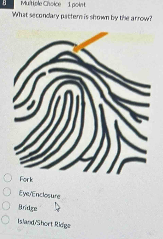 What secondary pattern is shown by the arrow?
Fork
Eye/Enclosure
Bridge
Island/Short Ridge