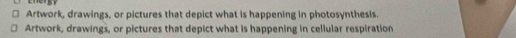 Ehergy 
Artwork, drawings, or pictures that depict what is happening in photosynthesis. 
Artwork, drawings, or pictures that depict what is happening in cellular respiration