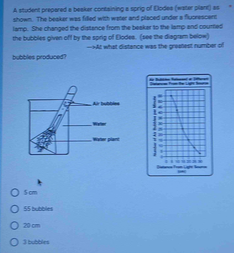 A student prepared a beaker containing a sprig of Elodea (water plant) as ,
shown. The beaker was filled with water and placed under a fluorescent
lamp. She changed the distance from the beaker to the lamp and courted
the bubbles given off by the sprig of Elodea. (see the diagram below)
—>At what distance was the greatest number of
bubbles produced?
A Bubler Rélsssed a Difteren
Distences Fron the Ligh: Sourcs
I
Distence From Lign Bourov
(cni
5 cm
55 bubbles
20 cm
3 bubbles