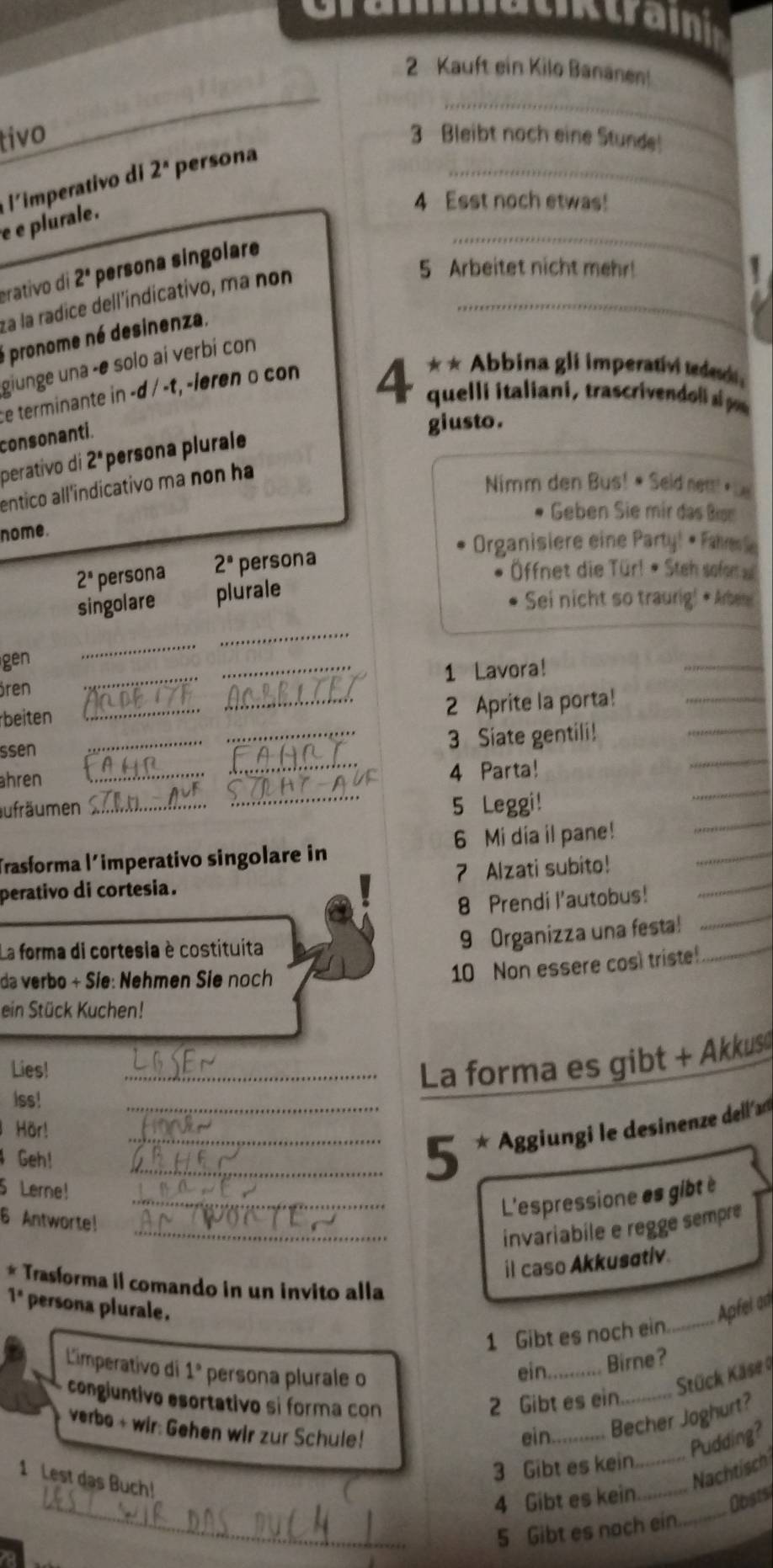 uthtraii
_
2 Kauft ein Kilo Bananen!
_
tivo 3 Bleibt noch eine Stunde!
limperativo d 2^n persona_
e e plurale.
4 Esst noch etwas!
5 Arbeitet nicht mehr!
erativo di 2^s persona singolare
_
±a la radice dell'índicativo, ma non_
é pronome né desinenza.
giunge una -e solo aí verbí con
e terminante in -d / -t, -leren o con 
** Abbina gli imperativi teden
4 quelli italiani, trascrivend  
consonanti.
giusto.
perativo di 2^n persona plurale
entico all'indicativo ma non ha
Nimm den Bus! # Seld re+ s
Geben Sie mir das Bon
nome.
Organisiere eine Party! • Falre
2^n persona 2^a persona
Öffnet die Tür! • Steh sofom 
singolare plurale
Sei nicht so traung! + Aber
_
_
gen
ören __1 Lavora!
_
_
_
rbeiten
_2 Aprite la porta!_
_
_
ssen
_3 Siate gentili!
_
_
hren __4 Parta!
_
aufräumen_
5 Leggi!
_
8 Prendi l'autobus!
_
Trasforma l´imperativo singolare in 6 Mi dia il pane!
9 Organizza una festa!
_
perativo di cortesia. 7 Alzati subito!
La forma di cortesia è costituita
10 Non essere così triste!
_
da verbo + Sie: Nehmen Sie noch
ein Stück Kuchen!
Lies!
_La forma es gibt + Akkus
Iss!
Hör!
Geh!
___5 * Aggiungi le desinenze dell'an
5 Lerne!
6 Antworte!
_L'espressione es gibt è
_invariabile e regge sempre
il caso Akkusotiv.
* Trasforma il comando in un invito alla
1^. persona plurale. _Apfel an
1 Gibt es noch ein.
ein Birne?
L'imperativo di 1° persona plurale o _Stück Käse 
congiuntivo esortativo si forma con 2 Gibt es ein_
verbo + wir: Gehen wir zur Schule!
ein_ Becher Joghurt?
Pudding?
3 Gibt es kein_
1 Lest das Buch!
Nachtisch
_
_
4 Gibt es kein_
Obsts
5 Gibt es nach ein