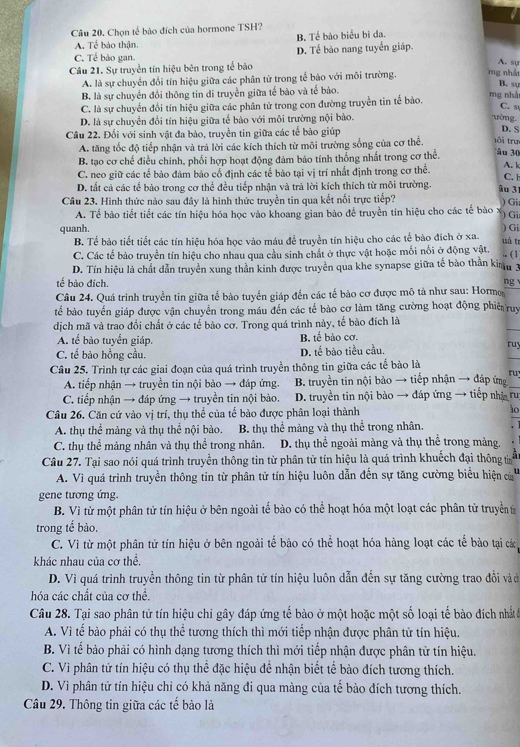 Chọn tế bào đích của hormone TSH?
A. Tế bào thận. B. Tế bào biểu bì da.
C. Tế bào gan. D. Tế bào nang tuyến giáp.
A. sự
Câu 21. Sự truyền tín hiệu bên trong tế bào mg nhất B. sự
A. là sự chuyển đổi tín hiệu giữa các phân tử trong tế bào với môi trường.
B. là sự chuyển đồi thông tin di truyền giữa tế bào và tế bào.
C. là sự chuyển đổi tín hiệu giữa các phân tử trong con đường truyền tin tế bào.
mg nhất
C. sự
D. là sự chuyển đồi tín hiệu giữa tế bào với môi trường nội bào. ường. D. S
Câu 22. Đối với sinh vật đa bào, truyền tin giữa các tế bào giúp
A. tăng tốc độ tiếp nhận và trả lời các kích thích từ môi trường sống của cơ thể.
1ôi trư
âu 30
B. tạo cơ chế điều chỉnh, phối hợp hoạt động đảm bảo tính thống nhất trong cơ thể. A. k
C. neo giữ các tế bào đảm bảo cố định các tế bào tại vị trí nhất định trong cơ thể. C. h
D. tất cả các tế bào trong cơ thể đều tiếp nhận và trả lời kích thích từ môi trường.
âu 31
Câu 23. Hình thức nào sau đây là hình thức truyền tin qua kết nối trực tiếp?
) Gi
A. Tế bào tiết tiết các tín hiệu hóa học vào khoang gian bào để truyền tín hiệu cho các tế bào ) Gi
quanh. ) Gi
B. Tế bào tiết tiết các tín hiệu hóa học vào máu để truyền tín hiệu cho các tế bào đích ở xa. uá tī
C. Các tế bào truyền tín hiệu cho nhau qua cầu sinh chất ở thực vật hoặc mối nối ở động vật. .. (1
D. Tín hiệu là chất dẫn truyền xung thần kinh được truyền qua khe synapse giữa tế bào thần kim m 3
tế bào đích. ng 
Câu 24. Quá trình truyền tin giữa tế bào tuyến giáp đến các tế bào cơ được mô tả như sau: Hormon
tế bào tuyến giáp được vận chuyển trong máu đến các tế bào cơ làm tăng cường hoạt động phiê ruy
dịch mã và trao đổi chất ở các tế bào cơ. Trong quá trình này, tế bào đích là
A. tế bào tuyến giáp. B. tế bào cơ.
C. tế bào hồng cầu. D. tế bào tiều cầu.
ruy
Câu 25. Trình tự các giai đoạn của quá trình truyền thông tin giữa các tế bảo là
ruy
A. tiếp nhận → truyền tin nội bào → đáp ứng. B. truyền tin nội bào → tiếp nhận → đáp ứng
C. tiếp nhận → đáp ứng → truyền tin nội bào. D. truyền tin nội bào → đáp ứng → tiếp nhận ru
Câu 26. Căn cứ vào vị trí, thụ thể của tế bào được phân loại thành
ào
A. thụ thể màng và thụ thể nội bào. B. thụ thể màng và thụ thể trong nhân.
C. thụ thể màng nhân và thụ thể trong nhân. D. thụ thể ngoài màng và thụ thể trong màng.
Câu 27. Tại sao nói quá trình truyền thông tin từ phân tử tín hiệu là quá trình khuếch đại thông tiể
A. Vì quá trình truyền thông tin từ phân tử tín hiệu luôn dẫn đến sự tăng cường biểu hiện củ
gene tương ứng.
B. Vì từ một phân tử tín hiệu ở bên ngoài tế bào có thể hoạt hóa một loạt các phân tử truyền từ
trong tế bào.
C. Vì từ một phân tử tín hiệu ở bên ngoài tế bào có thể hoạt hóa hàng loạt các tế bào tại các
khác nhau của cơ thể.
D. Vì quá trình truyền thông tin từ phân tử tín hiệu luôn dẫn đến sự tăng cường trao đổi và ch
hóa các chất của cơ thể.
Câu 28. Tại sao phân tử tín hiệu chỉ gây đáp ứng tế bào ở một hoặc một số loại tế bào đích nhất ở
A. Vì tế bào phải có thụ thể tương thích thì mới tiếp nhận được phân tử tín hiệu.
B. Vì tế bào phải có hình dạng tương thích thì mới tiếp nhận được phân tử tín hiệu.
C. Vì phân tử tín hiệu có thụ thể đặc hiệu để nhận biết tế bào đích tương thích.
D. Vì phân tử tín hiệu chỉ có khả năng đi qua màng của tế bào đích tương thích.
Câu 29. Thông tin giữa các tế bào là