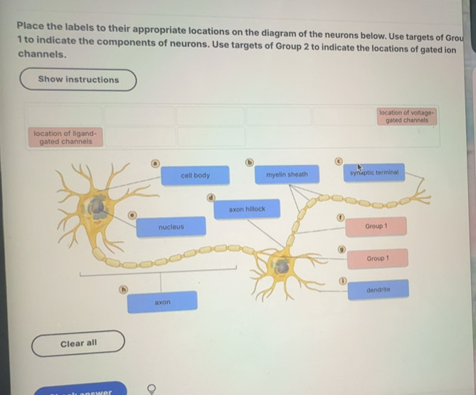 Solved: Place the labels to their appropriate locations on the diagram ...