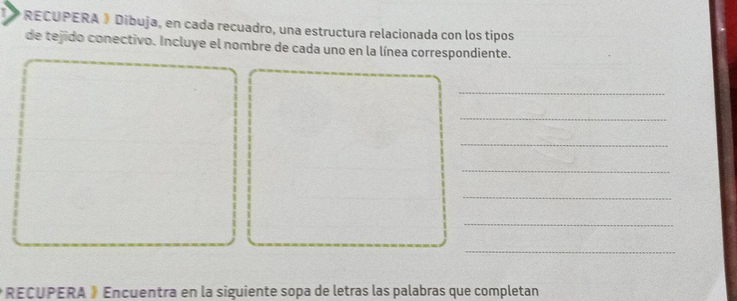 RECUPERA 》 Dibuja, en cada recuadro, una estructura relacionada con los tipos 
de tejido conectivo. Incluye el nombre de cada uno en la línea correspondiente. 
_ 
_ 
_ 
_ 
_ 
_ 
_ 
* RECUPERA 》 Encuentra en la siguiente sopa de letras las palabras que completan