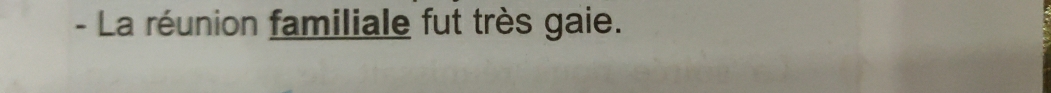 La réunion familiale fut très gaie.