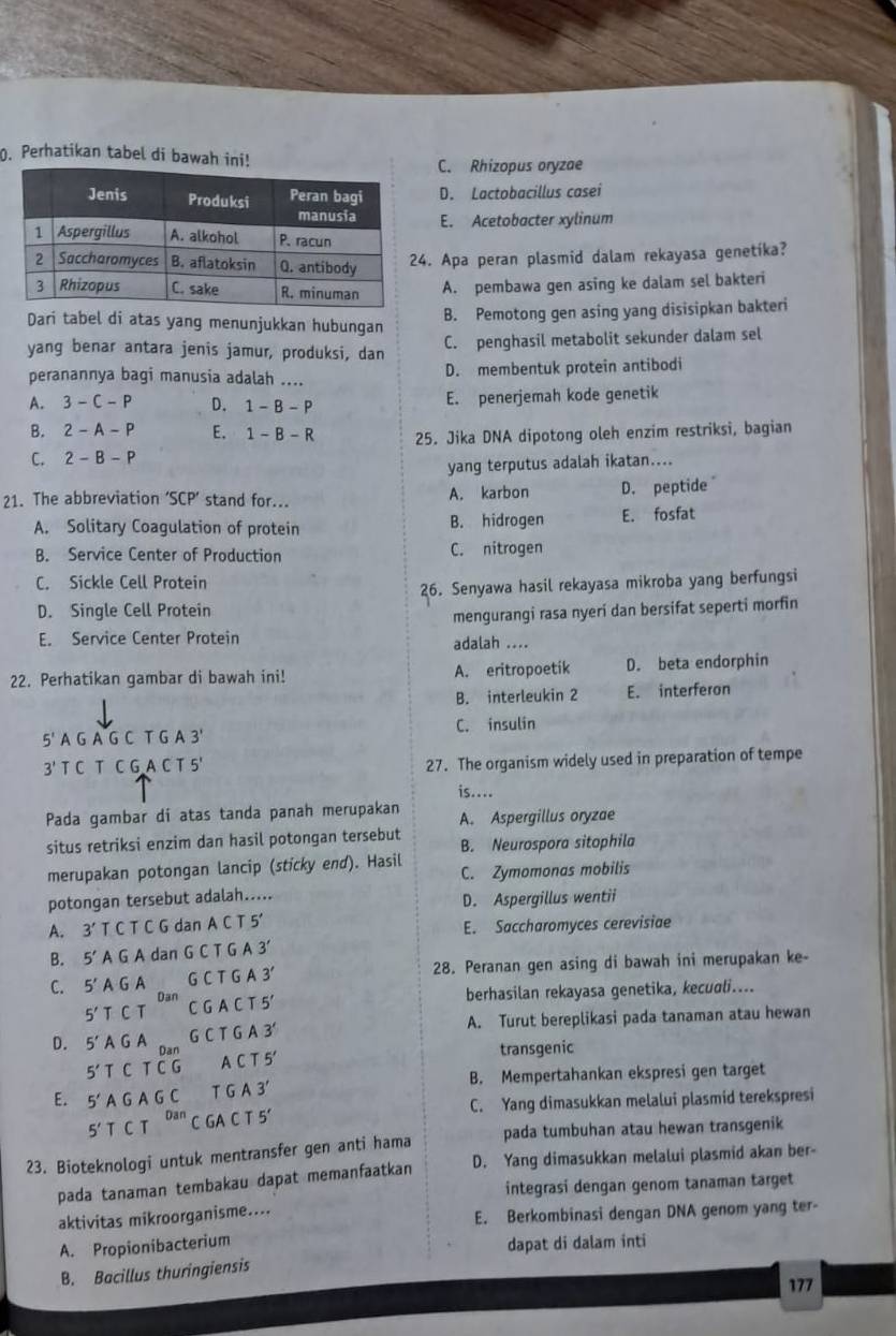 Perhatikan tabel di bawah ini!
C. Rhizopus oryzae
D. Lactobacillus casei
E. Acetobacter xylinum
. Apa peran plasmid dalam rekayasa genetika?
A. pembawa gen asing ke dalam sel bakteri
Dari tabel di atas yang menunjukkan hubungan
B. Pemotong gen asing yang disisipkan bakteri
yang benar antara jenis jamur, produksi, dan
C. penghasil metabolit sekunder dalam sel
peranannya bagi manusia adalah .... D. membentuk protein antibodi
A. 3-C-P D. 1-B-P E. penerjemah kode genetik
B. 2-A-P E. 1-B-R 25. Jika DNA dipotong oleh enzim restriksi, bagian
C. 2-B-P
yang terputus adalah ikatan....
21. The abbreviation SCP' stand for... A. karbon D. peptide
A. Solitary Coagulation of protein B. hidrogen E. fosfat
B. Service Center of Production C. nitrogen
C. Sickle Cell Protein
26. Senyawa hasil rekayasa mikroba yang berfungsi
D. Single Cell Protein
mengurangi rasa nyeri dan bersifat seperti morfin
E. Service Center Protein adalah ....
22. Perhatikan gambar di bawah ini! A. eritropoetik D. beta endorphin
B. interleukin 2 E. interferon
5' A G A G C T G A 3' C. insulin
3' T C T C G A C T 5' 27. The organism widely used in preparation of tempe
is....
Pada gambar di atas tanda panah merupakan A. Aspergillus oryzae
situs retriksi enzim dan hasil potongan tersebut B. Neurospora sitophila
merupakan potongan lancip (sticky end). Hasil
C. Zymomonas mobilis
potongan tersebut adalah.....
D. Aspergillus wentii
A. 3' T C T C G dan A C T 5'
E. Saccharomyces cerevisiae
B. 5' A G A dan G C T G A 3'
C. 5' A G A G C T G A 3' 28. Peranan gen asing di bawah ini merupakan ke-
5'TCT C G A C T 5' berhasilan rekayasa genetika, kecuali....
Dan
G C T G A 3 A. Turut bereplikasi pada tanaman atau hewan
D. 5'AGA Dan
transgenic
5'TCTCG A C T 5'
E. 5'AGAGC T G A 3' B. Mempertahankan ekspresi gen target
5'TCT^(Dan) C GA C T 5 C. Yang dimasukkan melalui plasmid terekspresi
23. Bioteknologi untuk mentransfer gen anti hama pada tumbuhan atau hewan transgenik
pada tanaman tembakau dapat memanfaatkan D. Yang dimasukkan melalui plasmid akan ber-
integrasi dengan genom tanaman target
aktivitas mikroorganisme....
E. Berkombinasi dengan DNA genom yang ter-
A. Propionibacterium
dapat di dalam inti
B. Bacillus thuringiensis
177