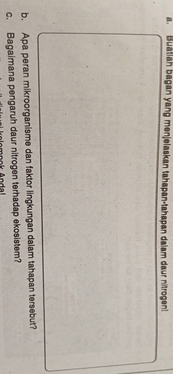 Buatlah bagan yang menjelaskan tahapan-tahapan dalam daur nitrogen! 
b. Apa peran mikroorganisme dan faktor lingkungan dalam tahapan tersebut? 
c. Bagaimana pengaruh daur nitrogen terhadap ekosistem?