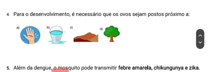 Para o desenvolvimento, é necessário que os ovos sejam postos próximo a:
a) b) c) d)
5. Além da dengue, o mosquito pode transmitir febre amarela, chikungunya e zika.