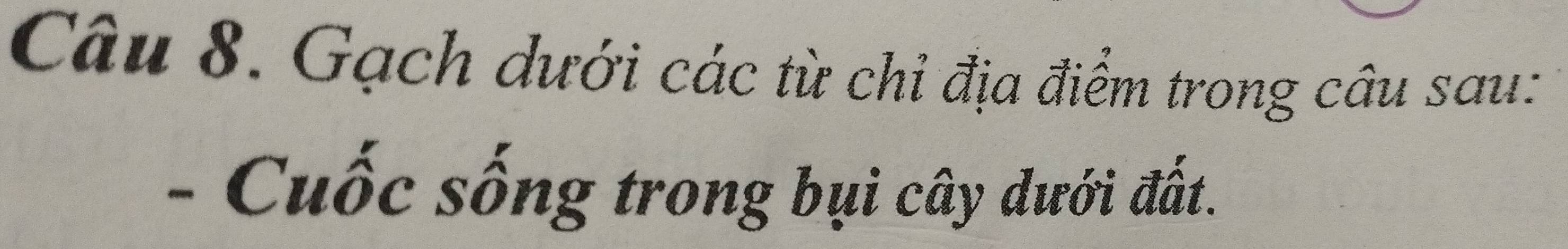 Gạch dưới các từ chỉ địa điểm trong câu sau: 
- Cuốc sống trong bụi cây dưới đất.