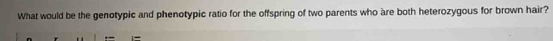 What would be the genotypic and phenotypic ratio for the offspring of two parents who are both heterozygous for brown hair?