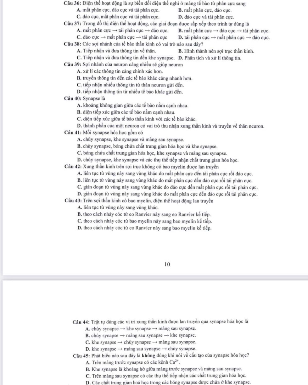 Điện thể hoạt động là sự biến đổi điện thế nghi ở màng tế bào từ phân cực sang
A. mất phân cực, đảo cực và tái phân cực. B. mất phân cực, đảo cực.
C. đảo cực, mất phân cực và tái phân cực. D. đảo cực và tái phân cực,
Câu 37: Trong đồ thị điện thế hoạt động, các giai đoạn được sắp xếp theo trình tự đúng là
A. mất phân cực → tái phân cực → đảo cực. B. mất phân cực → đảo cực → tái phân cực.
C. đảo cực → mất phân cực → tái phân cực D. tái phân cực → mất phân cực → đảo cực.
Câu 38: Các sợi nhánh của tế bào thần kinh có vai trò nào sau đây?
A. Tiếp nhận và đưa thông tin về thân. B. Hình thành nên sợi trục thần kinh.
C. Tiếp nhận và đưa thông tin đến khe synapse. D. Phân tích và xử lí thông tin.
Câu 39: Sợi nhánh của neuron cảng nhiều sẽ giúp neuron
A. xử lí các thông tin càng chính xác hơn.
B. truyền thông tin đến các tế bào khác càng nhanh hơn.
C. tiếp nhận nhiều thông tin từ thân neuron gửi đến.
D. tiếp nhận thông tin từ nhiều tế bào khác gửi đến.
Câu 40: Synapse là
A. khoảng không gian giữa các tế bào nằm cạnh nhau.
B. diện tiếp xúc giữa các tế bào nằm cạnh nhau.
C. diện tiếp xúc giữa tế bào thần kinh với các tế bào khác.
D. thành phần của một neuron có vai trò thu nhận xung thần kinh và truyền về thân neuron.
Câu 41: Mỗi synapse hóa học gồm có
A. chùy synapse, khe synapse và màng sau synapse.
B. chùy synapse, bóng chứa chất trung gian hóa học và khe synapse.
C. bóng chứa chất trung gian hóa học, khe synapse và màng sau synapse.
D. chùy synapse, khe synapse và các thụ thể tiếp nhận chất trung gian hóa học.
Câu 42: Xung thần kinh trên sợi trục không có bao myelin được lan truyền
A. liên tục từ vùng này sang vùng khác do mất phân cực đến tái phân cực rồi đảo cực.
B. liên tục từ vùng này sang vùng khác do mất phân cực đến đảo cực rồi tái phân cực.
C. gián đoạn từ vùng này sang vùng khác do đảo cực đến mất phân cực rồi tái phân cực.
D. gián đoạn từ vùng này sang vùng khác do mất phân cực đến đảo cực rồi tái phân cực.
Câu 43: Trên sợi thần kinh có bao myelin, điện thể hoạt động lan truyền
A. liên tục từ vùng này sang vùng khác.
B. theo cách nhảy cóc từ eo Ranvier này sang eo Ranvier kế tiếp.
C. theo cách nhảy cóc từ bao myelin này sang bao myelin kế tiếp.
D. theo cách nhảy cóc từ eo Ranvier này sang bao myelin kế tiếp.
10
Câu 44: Trật tự đúng các vị trí xung thần kinh được lan truyền qua synapse hóa học là
A. chùy synapse → khe synapse → màng sau synapse.
B. chùy synapse → màng sau synapse → khe synapse.
C. khe synapse → chùy synapse → màng sau synapse.
D. khe synapse → màng sau synapse → chùy synapse.
Câu 45: Phát biểu nào sau dây là không đúng khi nói về cấu tạo của synapse hóa học?
A. Trên màng trước synapse có các kênh Ca^(2+)
B. Khe synapse là khoảng hở giữa màng trước synapse và màng sau synapse.
C. Trên màng sau synapse có các thụ thể tiếp nhận các chất trung gian hóa học.
D. Các chất trung gian hoá học trong các bóng synapse được chứa ở khe synapse.