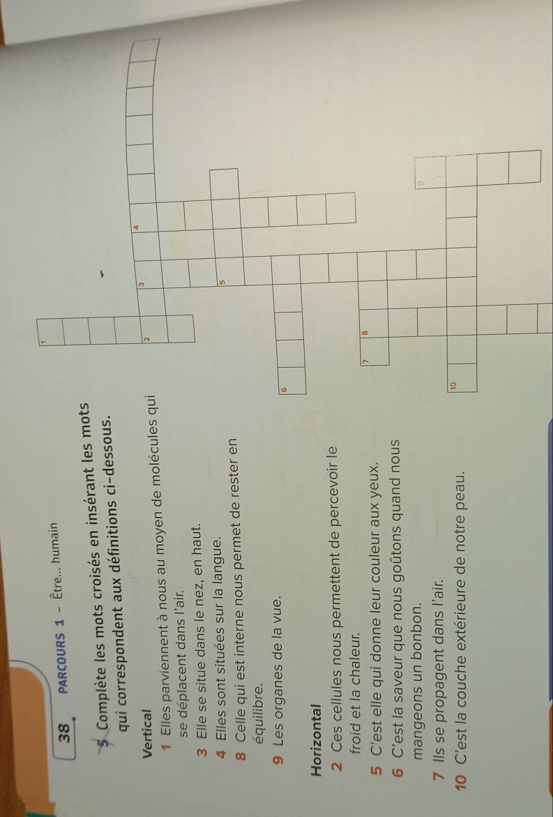 PARCOURS 1 - Être... humain 
5 Complète les mots croisés en insérant les mo 
qui correspondent aux définitions ci-dessous. 
Vertical 
1 Elles parviennent à nous au moyen de molécules 
se déplacent dans l'air. 
3 Elle se situe dans le nez, en haut. 
4 Elles sont situées sur la langue.
8 Celle qui est interne nous permet de rester en 
équilibre. 
9 Les organes de la vue. 
Horizontal 
2 Ces cellules nous permettent de percevoir le 
froid et la chaleur. 
5 C'est elle qui donne leur couleur aux yeux. 
6 C'est la saveur que nous goûtons quand nous 
mangeons un bonbon. 
7 Ils se propagent dans I’air. 
10 C'est la couche extérieure de notre peau.