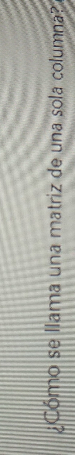 ¿Cómo se llama una matriz de una sola columna?