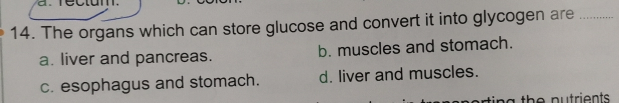 rectum.
14. The organs which can store glucose and convert it into glycogen are_
a. liver and pancreas. b. muscles and stomach.
c. esophagus and stomach. d. liver and muscles.