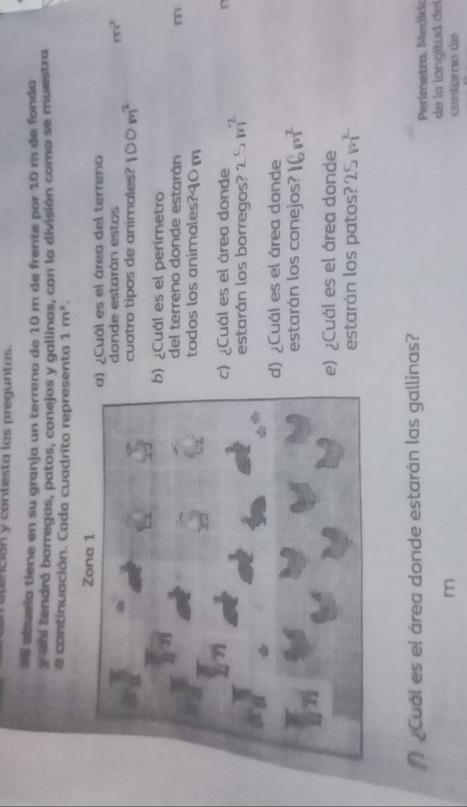 tención y contesta las preguntas. 
M abueio tíene en su granja un terreno de 10 m de frente por 10 m de fondo 
y ahi tendrá borregos, patos, conejos y gallinas, con la división como se muestra 
# continuación. Cada cuadrito representa 1m^2. 
) ¿Cuál es el área del terreno 
donde estarán estos
m^2
cuatro tipos de animales? 
) ¿Cuál es el perimetro 
del terreno donde estarán m 
todos los animales?40 
c) ¿Cuál es el área donde 
estarán los borregos? 
d) ¿Cuál es el área donde 
estarán los conejos? 
e) ¿Cuál es el área donde 
estarán los patos? 
¿Cuál es el área donde estarán las gallinas? 
Perímetro, Medido 
de la langitud del 
m 
contóro de