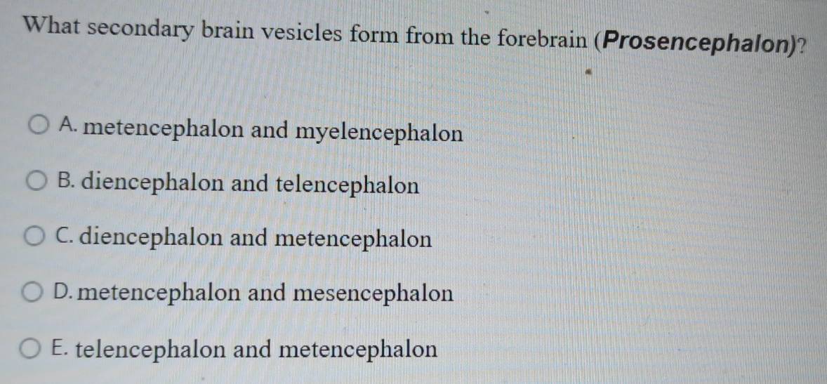 What secondary brain vesicles form from the forebrain (Prosencephalon)?
A. metencephalon and myelencephalon
B. diencephalon and telencephalon
C. diencephalon and metencephalon
D. metencephalon and mesencephalon
E. telencephalon and metencephalon