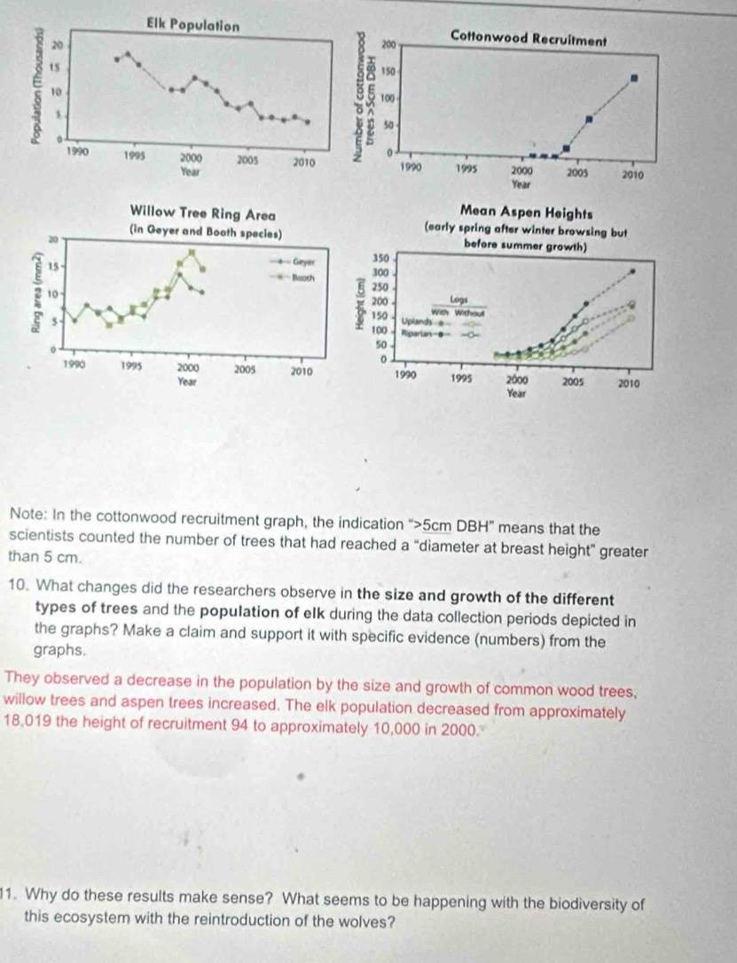 Note: In the cottonwood recruitment graph, the indication “ 5cm DBH” means that the 
scientists counted the number of trees that had reached a “diameter at breast height” greater 
than 5 cm. 
10. What changes did the researchers observe in the size and growth of the different 
types of trees and the population of eIk during the data collection periods depicted in 
the graphs? Make a claim and support it with specific evidence (numbers) from the 
graphs. 
They observed a decrease in the population by the size and growth of common wood trees, 
willow trees and aspen trees increased. The elk population decreased from approximately
18,019 the height of recruitment 94 to approximately 10,000 in 2000. 
11. Why do these results make sense? What seems to be happening with the biodiversity of 
this ecosystem with the reintroduction of the wolves?