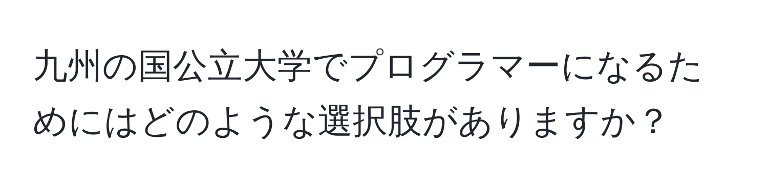 九州の国公立大学でプログラマーになるためにはどのような選択肢がありますか？