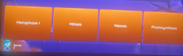 Metaphase I Mitosis Meiosis Photosynthesis 
Quiraih 
n