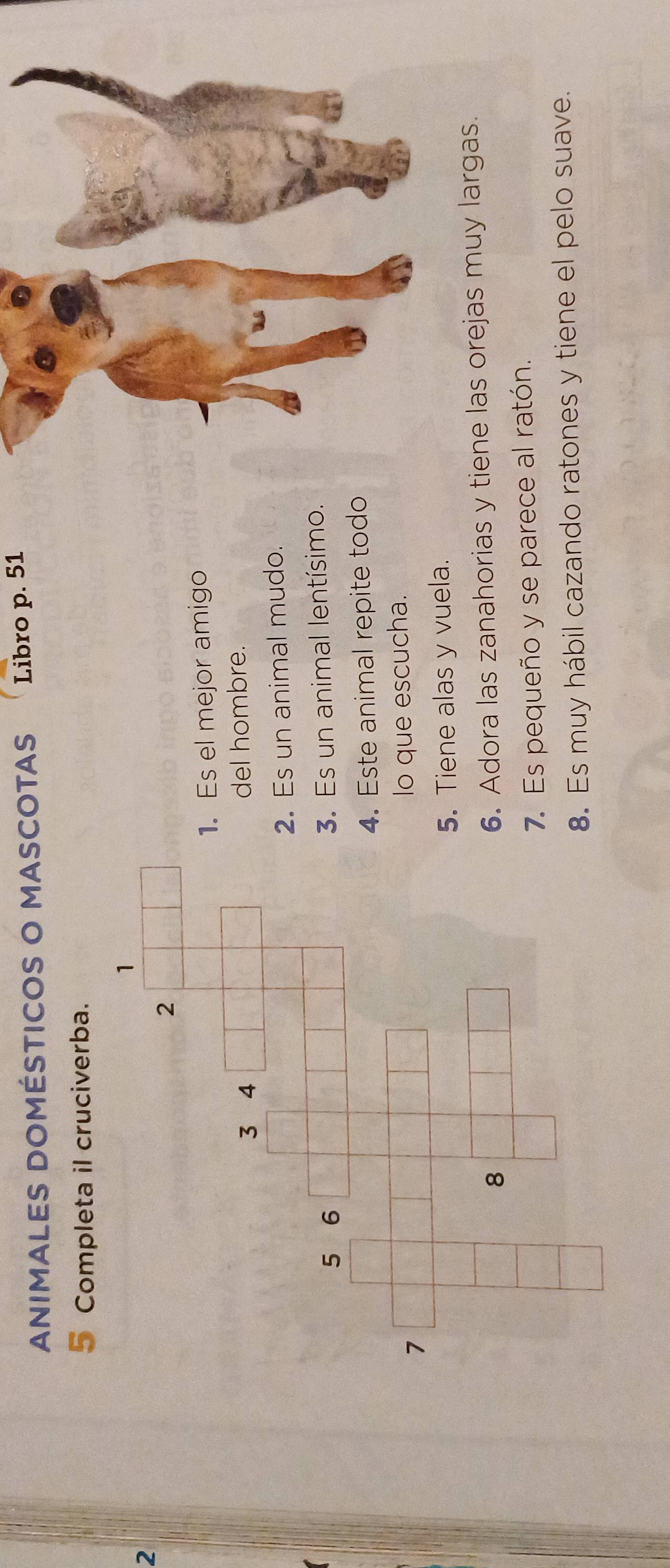 ANIMALES DOMÉSTICOS O MASCOTAS Libro p. 51
5 Completa il cruciverba. 
2 
1. Es el mejor amigo 
del hombre. 
2. Es un animal mudo. 
3. Es un animal lentísimo. 
4. Este animal repite todo 
lo que escucha. 
5. Tiene alas y vuela. 
6. Adora las zanahorias y tiene las orejas muy largas. 
7. Es pequeño y se parece al ratón. 
8. Es muy hábil cazando ratones y tiene el pelo suave.