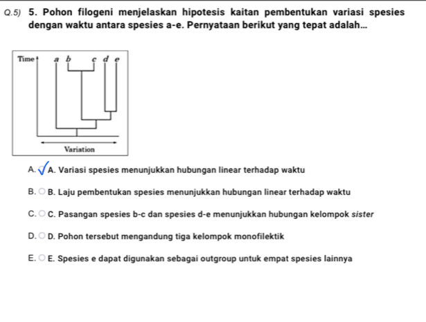 Pohon filogeni menjelaskan hipotesis kaitan pembentukan variasi spesies
dengan waktu antara spesies a-e. Pernyataan berikut yang tepat adalah...
A. sqrt(A). Variasi spesies menunjukkan hubungan linear terhadap waktu
B. ○ B. Laju pembentukan spesies menunjukkan hubungan linear terhadap waktu
C. ○ C. Pasangan spesies b-c dan spesies d-e menunjukkan hubungan kelompok sister
D. ○ D. Pohon tersebut mengandung tiga kelompok monofilektik
E. ○ E. Spesies e dapat digunakan sebagai outgroup untuk empat spesies lainnya